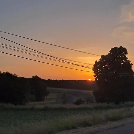 Le Tournesol